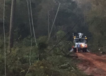 Downed power lines are dangerous